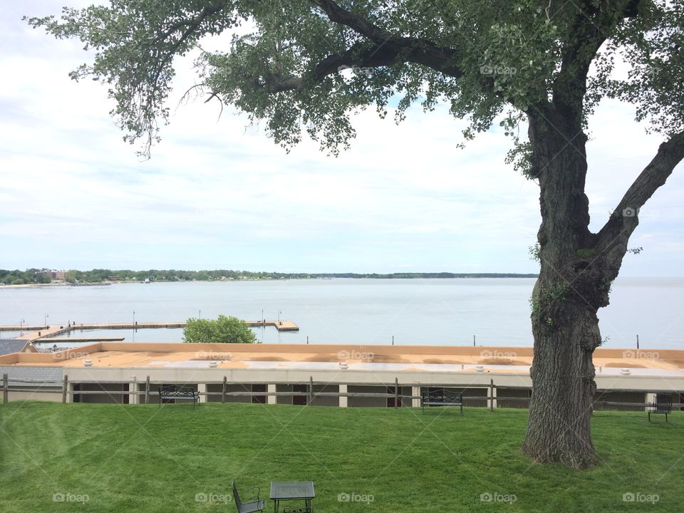 Tree, Water, No Person, Landscape, Outdoors