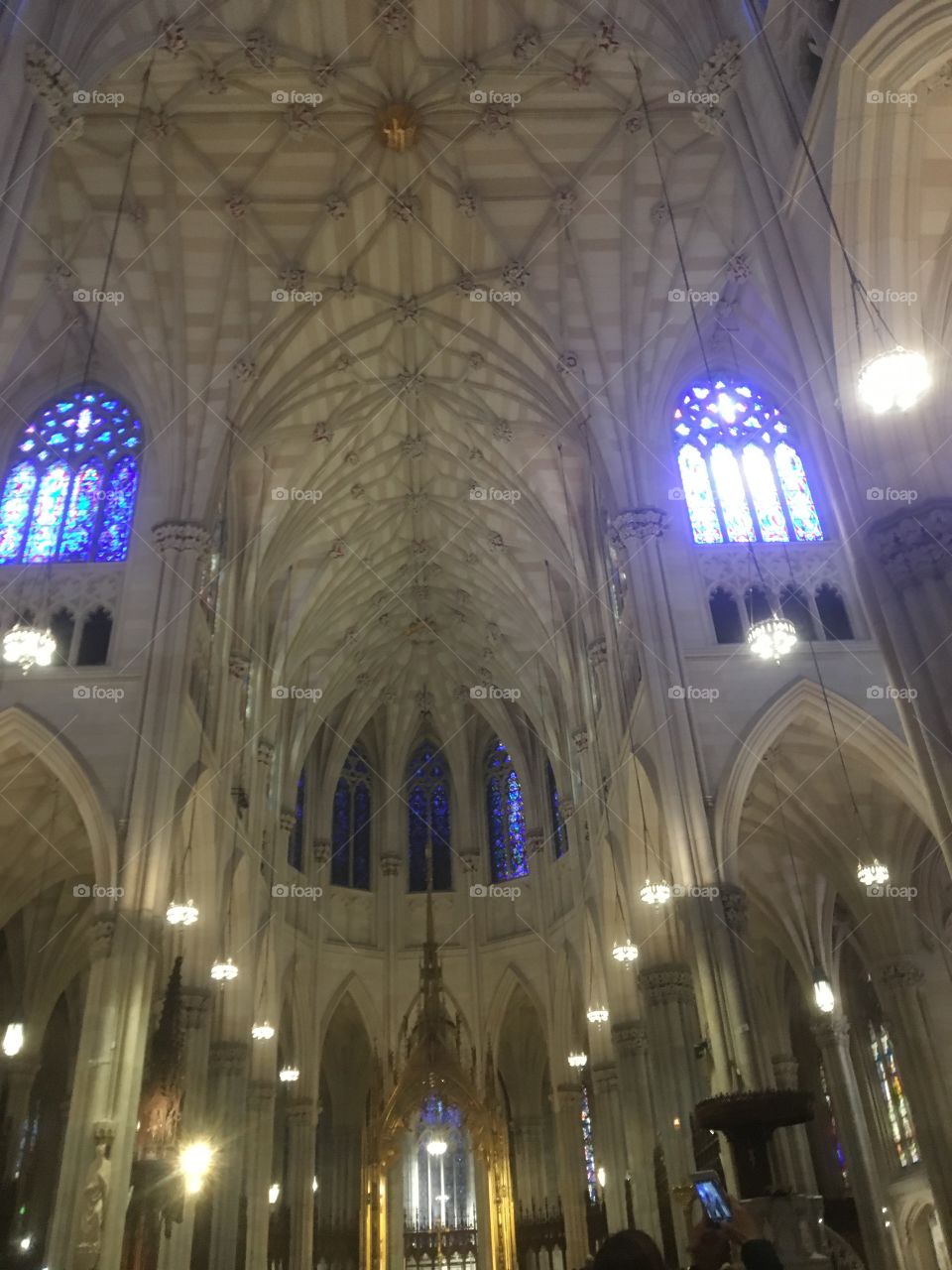High vaulted ceilings St. Patrick Cathedral 
