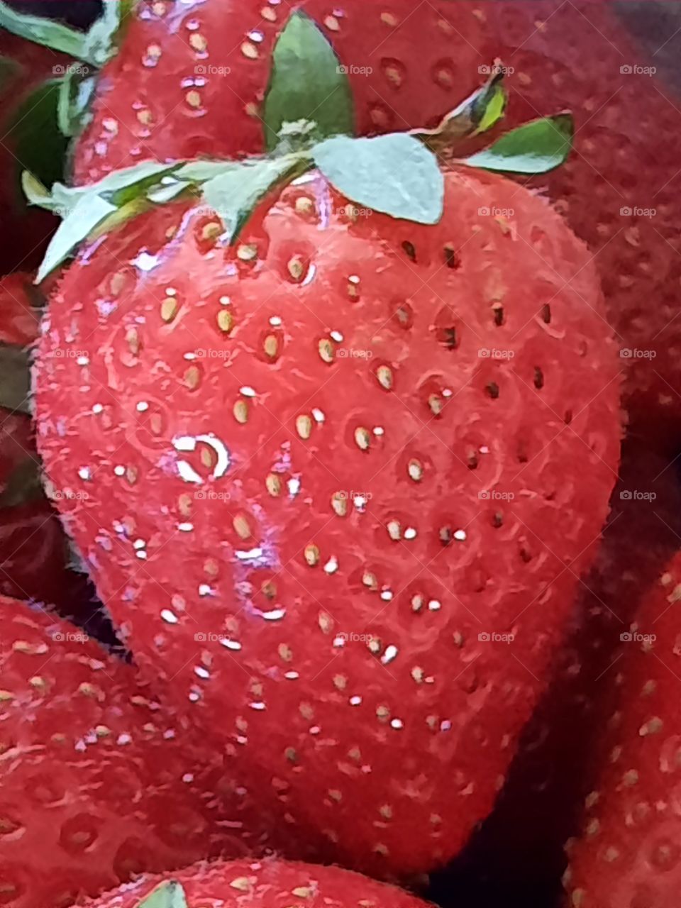 natur obst Erdbeeren
