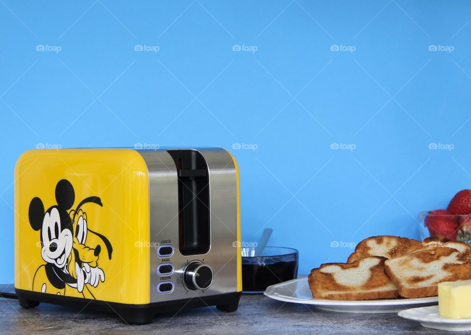 Select Brands Toaster. 