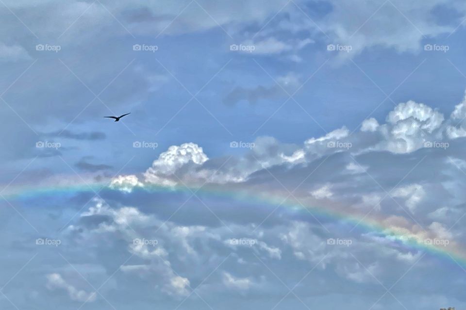 Rainbow on a cloudy day! 