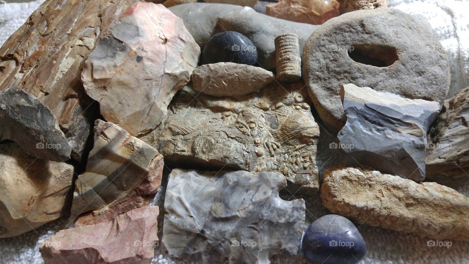 Archeology Collector