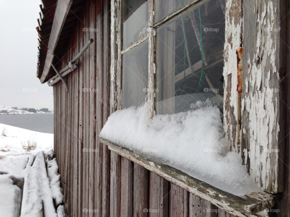 Shed