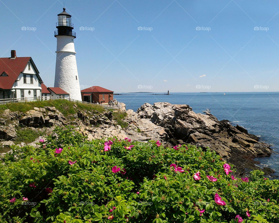 Fort Williams Park