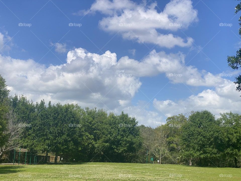 Blue sky and white clouds over green trees