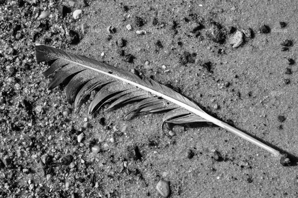 No Person, Nature, Sand, Desktop, Ground