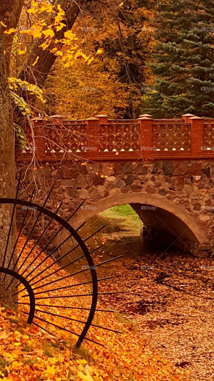 Bridge in the park.
