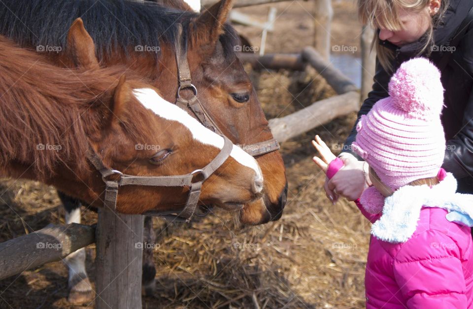 girl looking at a horse