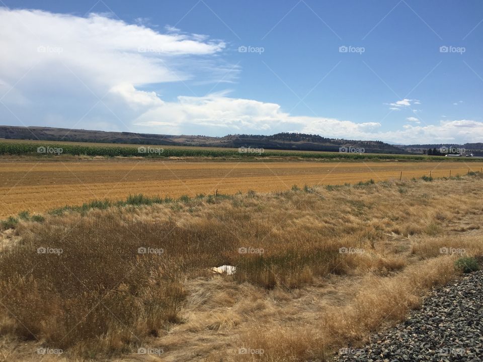 Landscape, No Person, Agriculture, Nature, Field