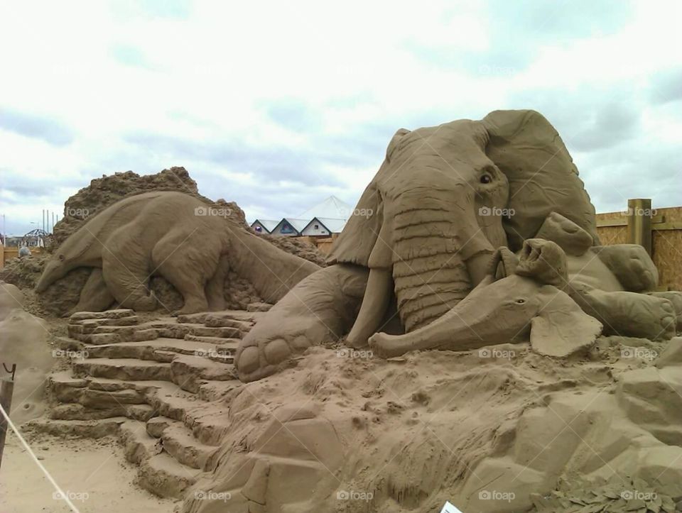 animals, eliphant
 sand sculptures  . huge