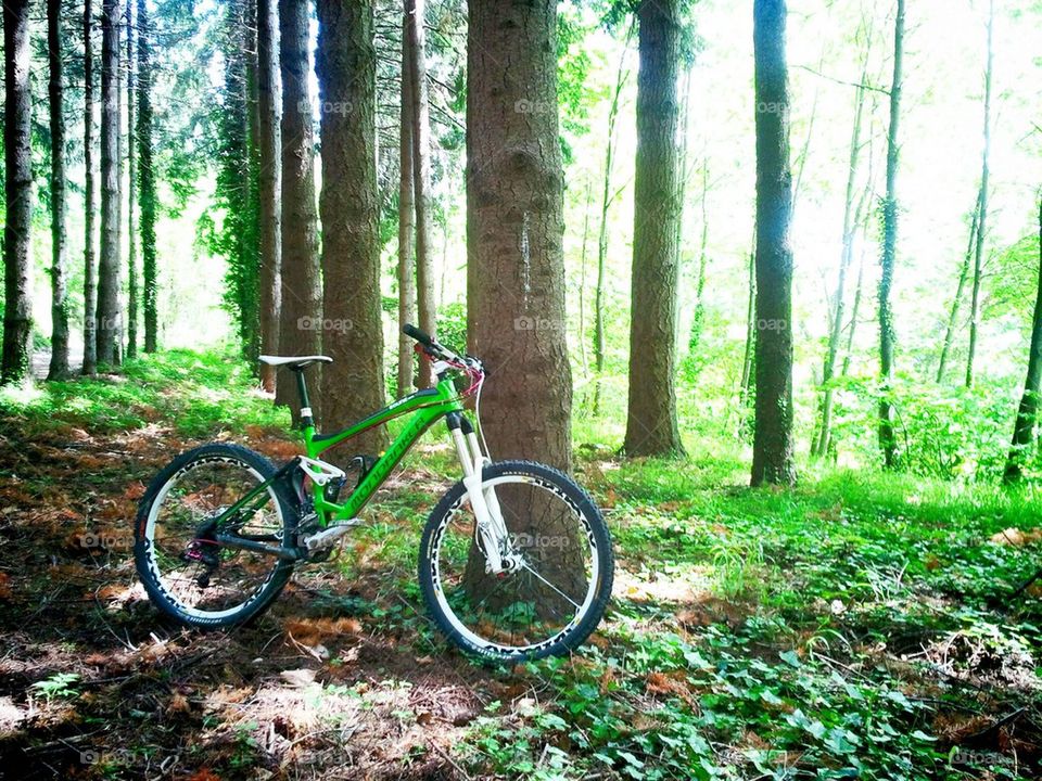 forest bike