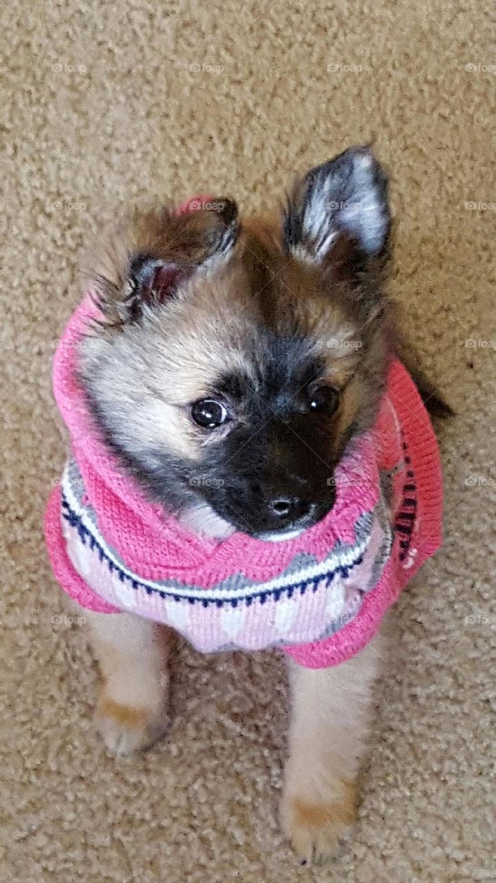 Does this sweater make my eyes look big?