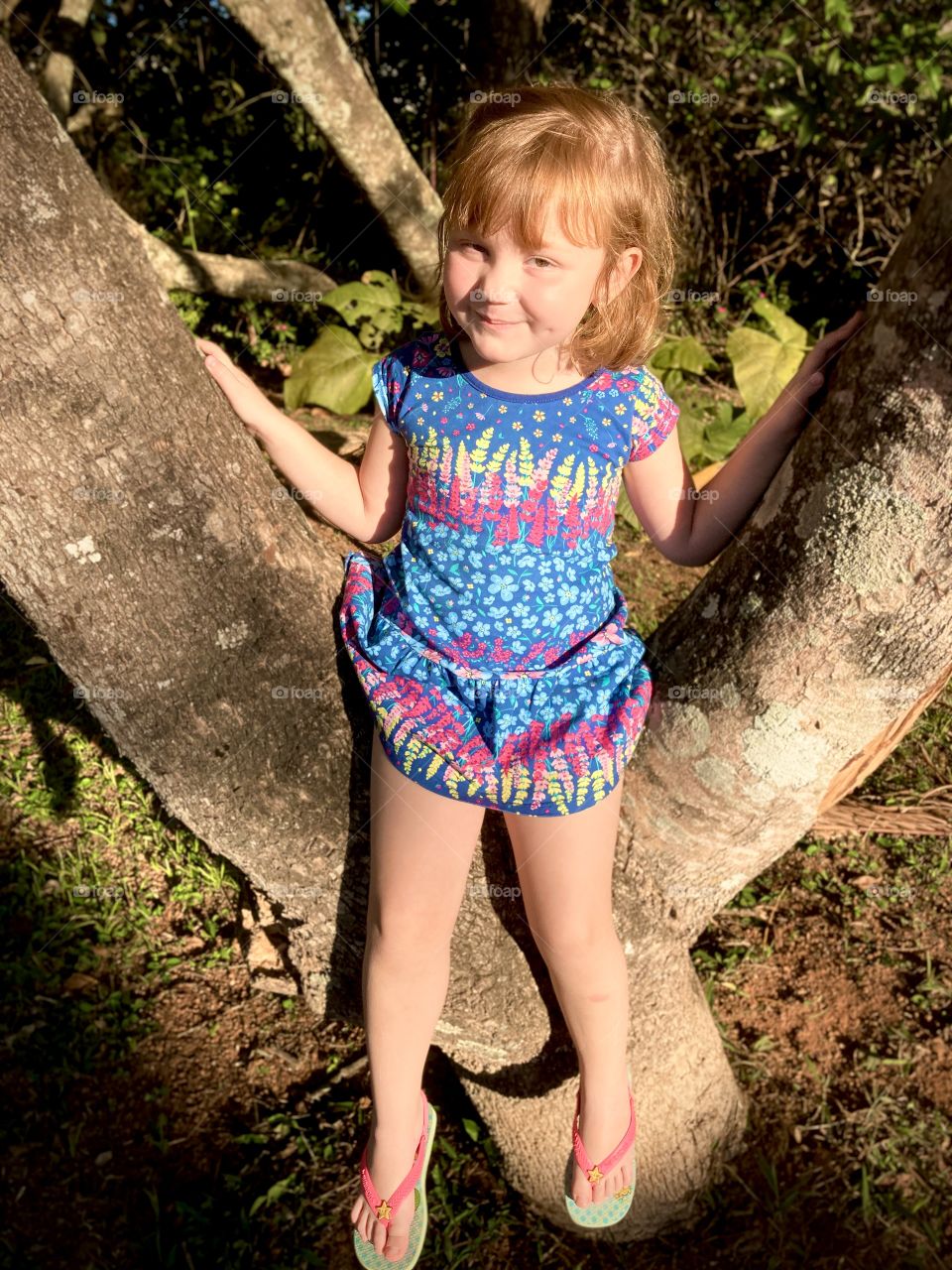 Climbing trees is very good, isn't it?  Well accompanied by my daughter Tetezinha, even more fun... / Subir em árvores é muito bom, não? Bem acompanhado da minha filha Tetezinha, ainda mais divertido…