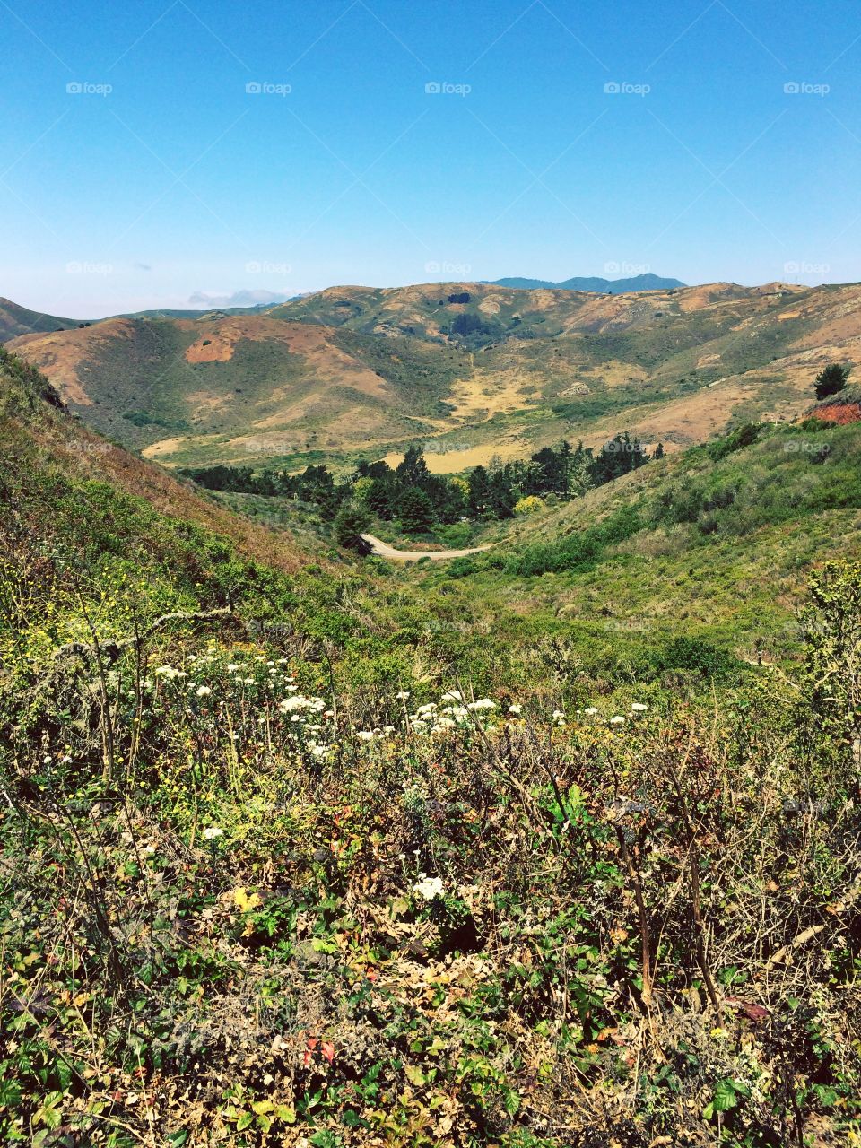 San Francisco Bay hike