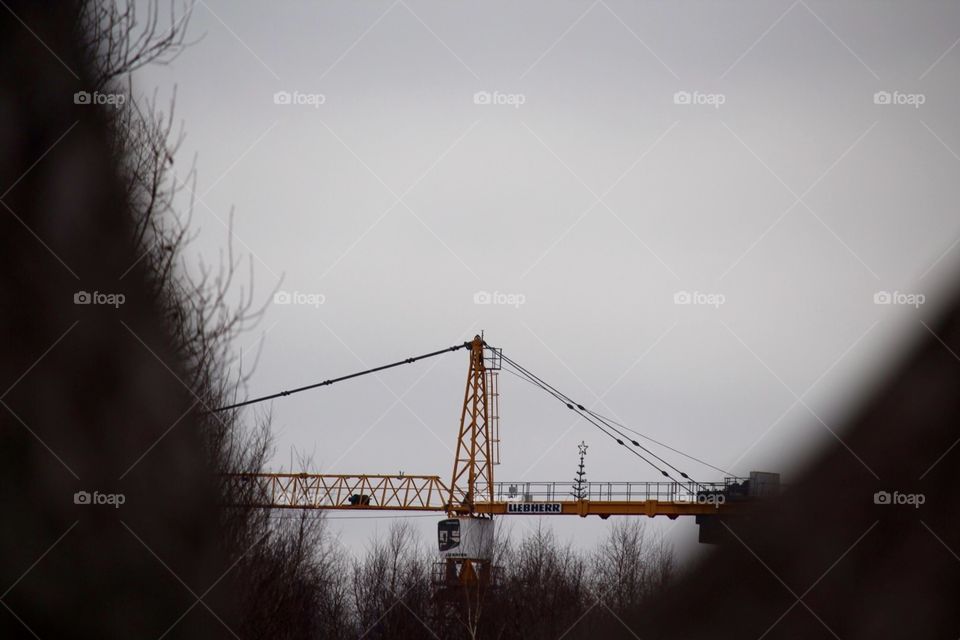 Crane 