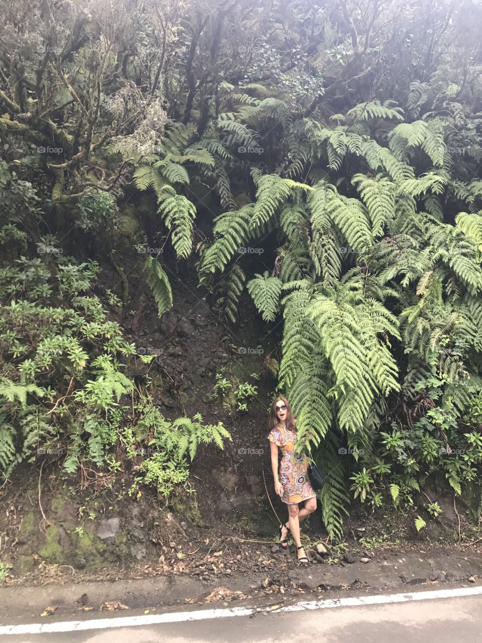 Discovering Tenerife 