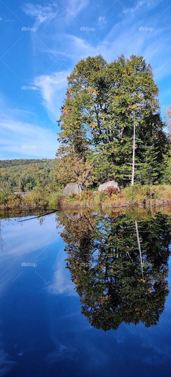 Nature in the mirror