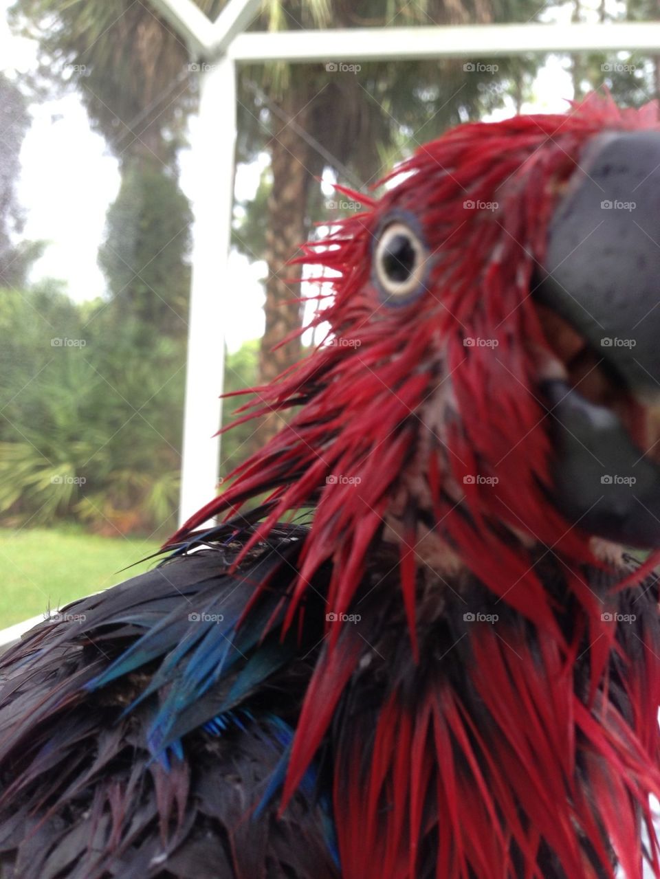 Bath time being discussed