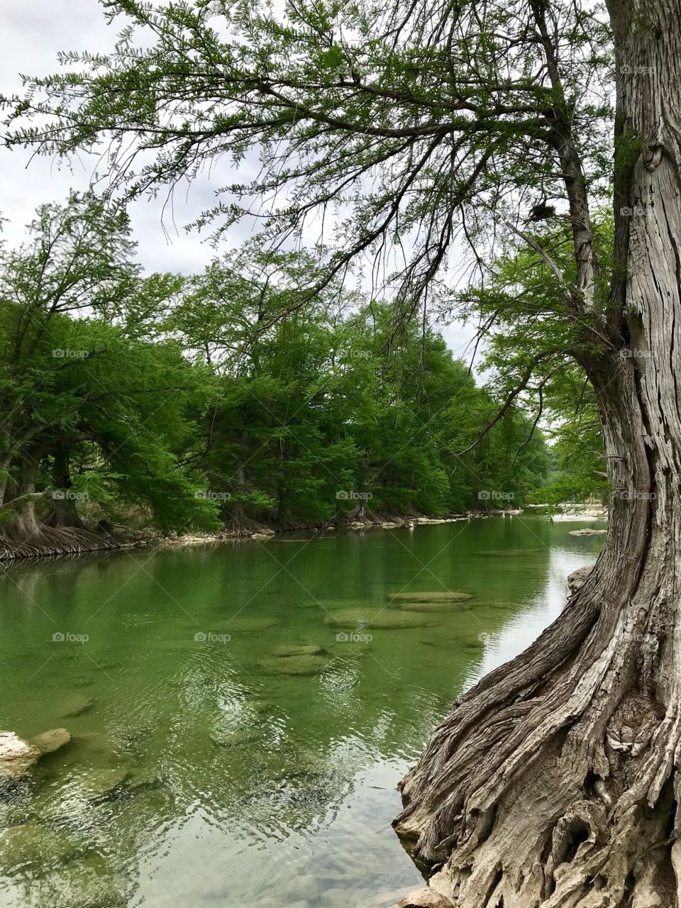 Pedernales River. A day playing on the banks of the river. 