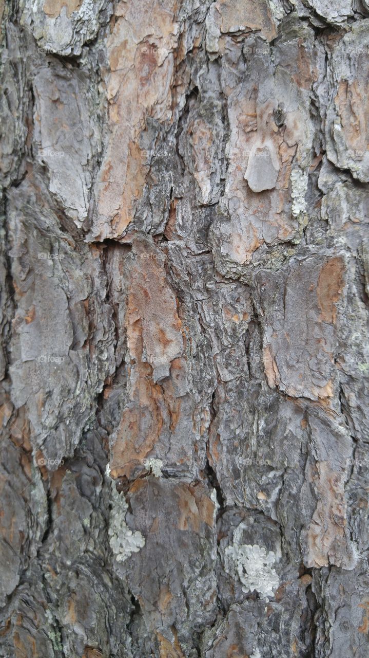 Beautiful macro shots