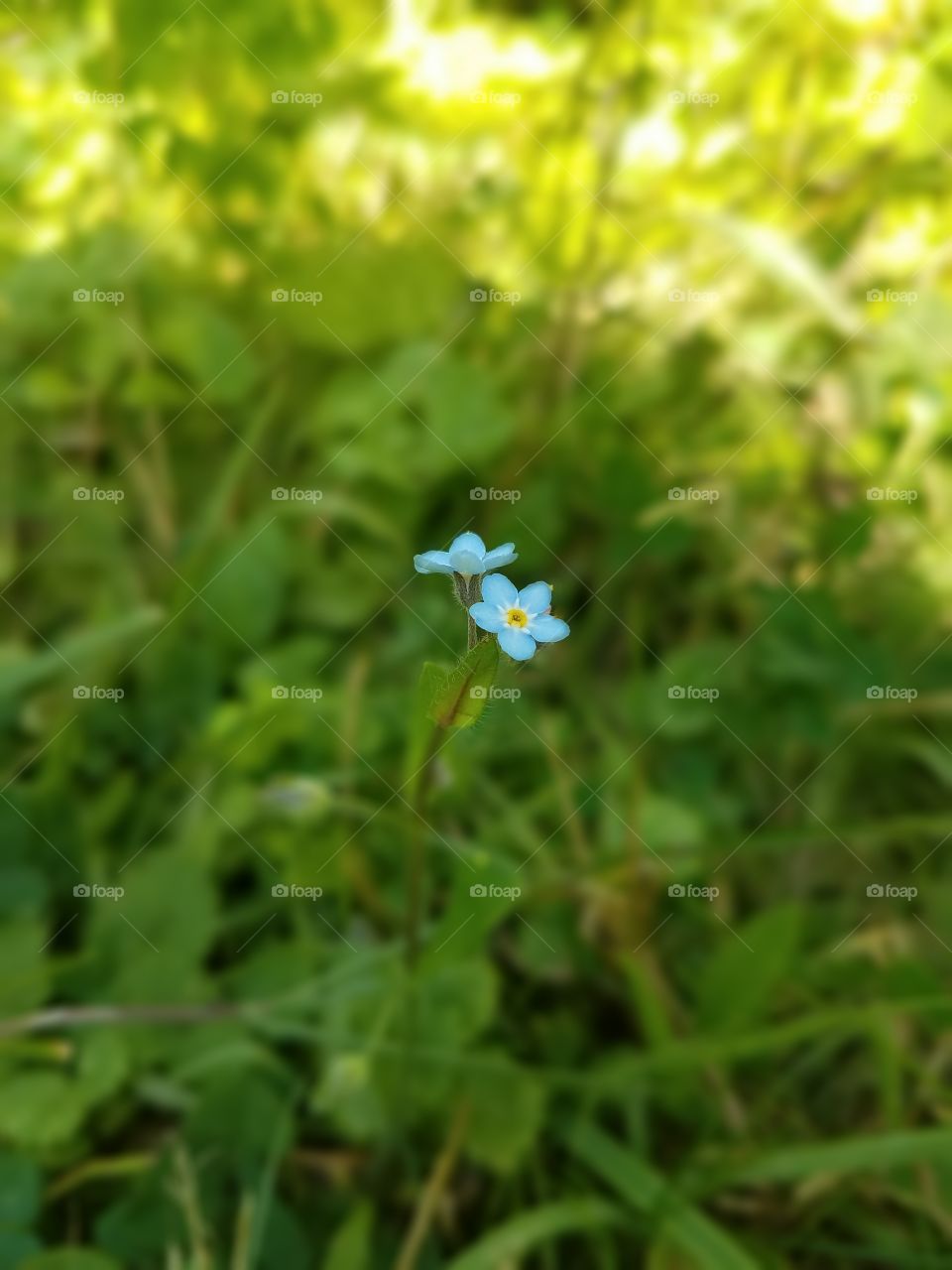 Its a small world after all.