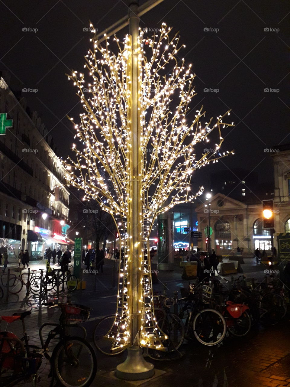 arbre illuminé