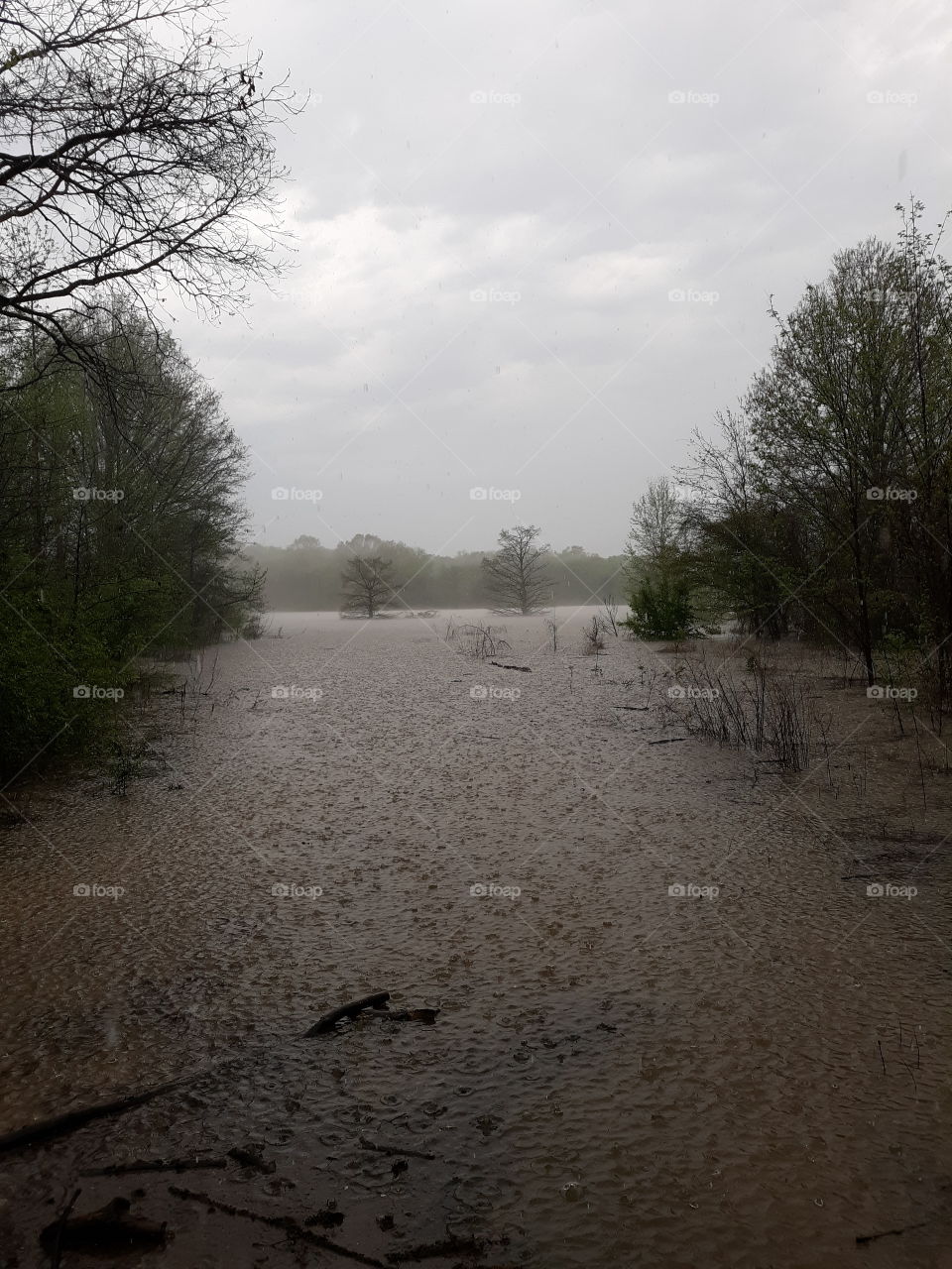 Rainy Day, High Water