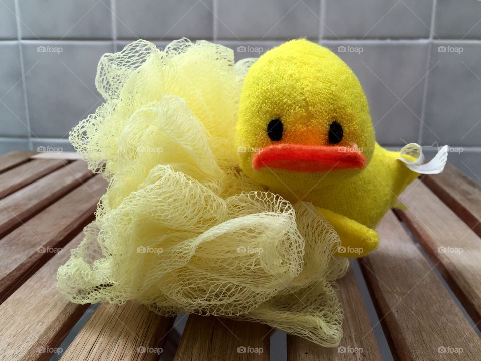 My duck