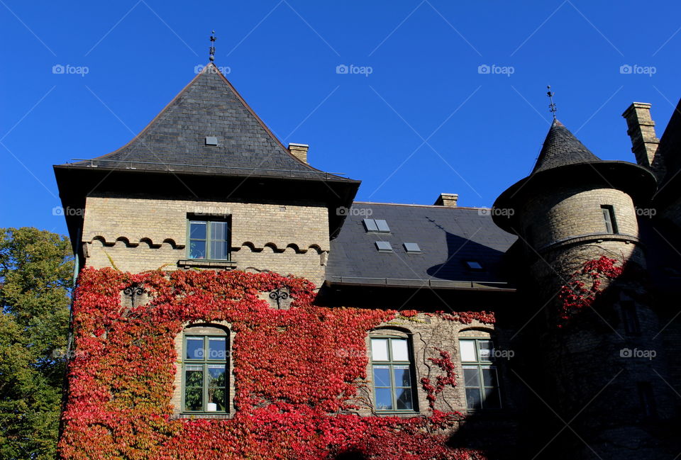 Castle, Alnarp Sweden