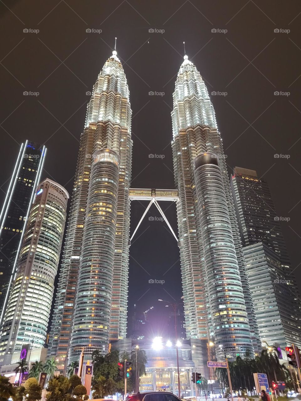 The Twin Towers