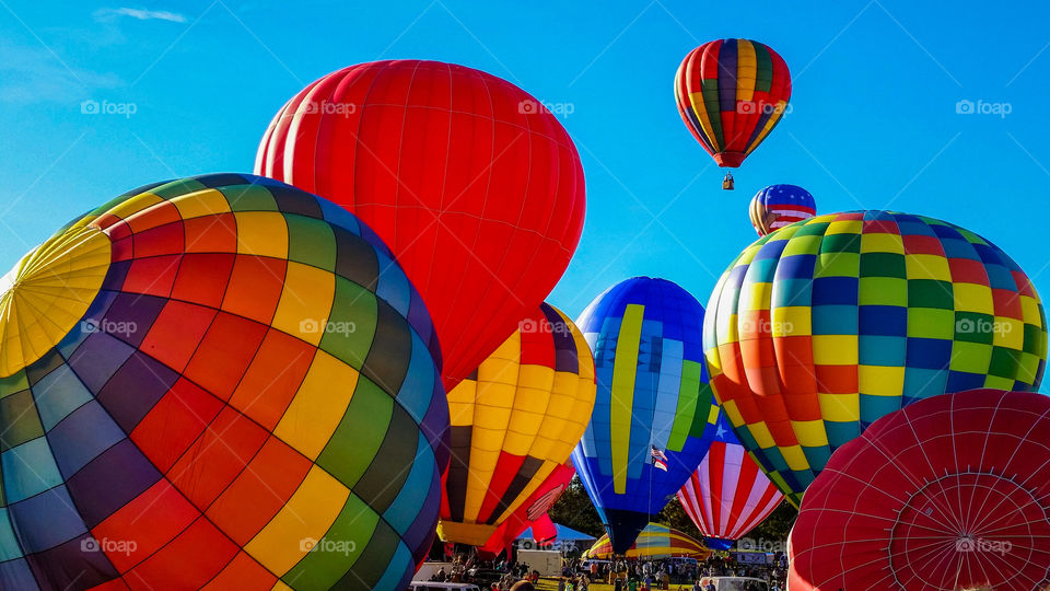Hot air balloons preparing to take flight.