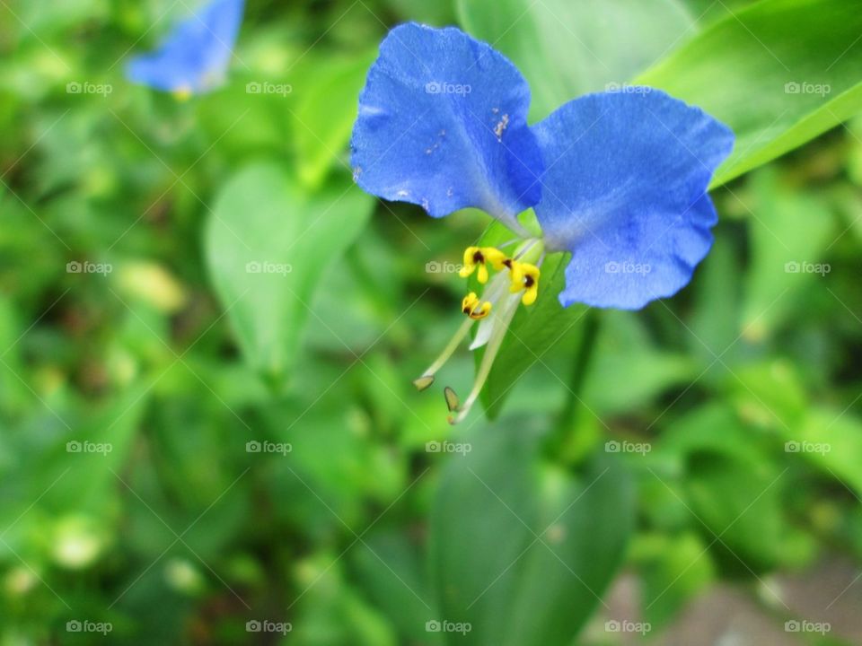 Capturing the last bits of the summer season