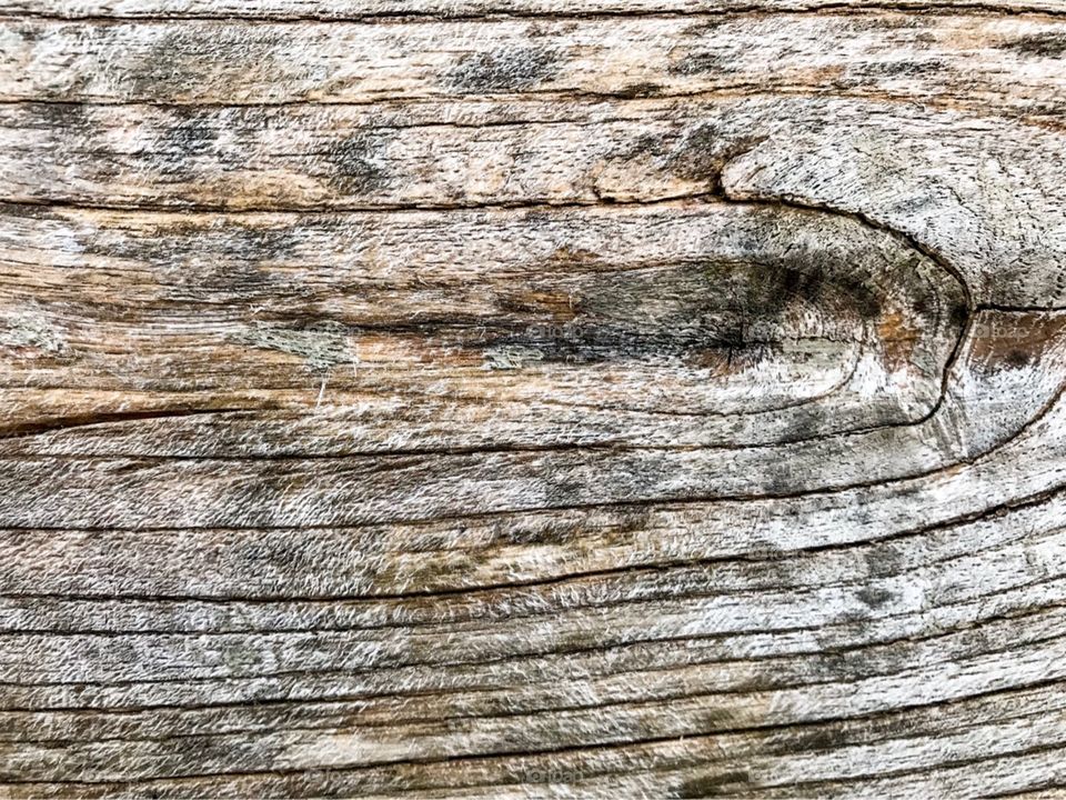 Wood background