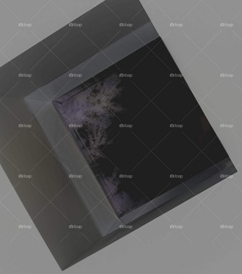 negative style sky light  with tree peeking in