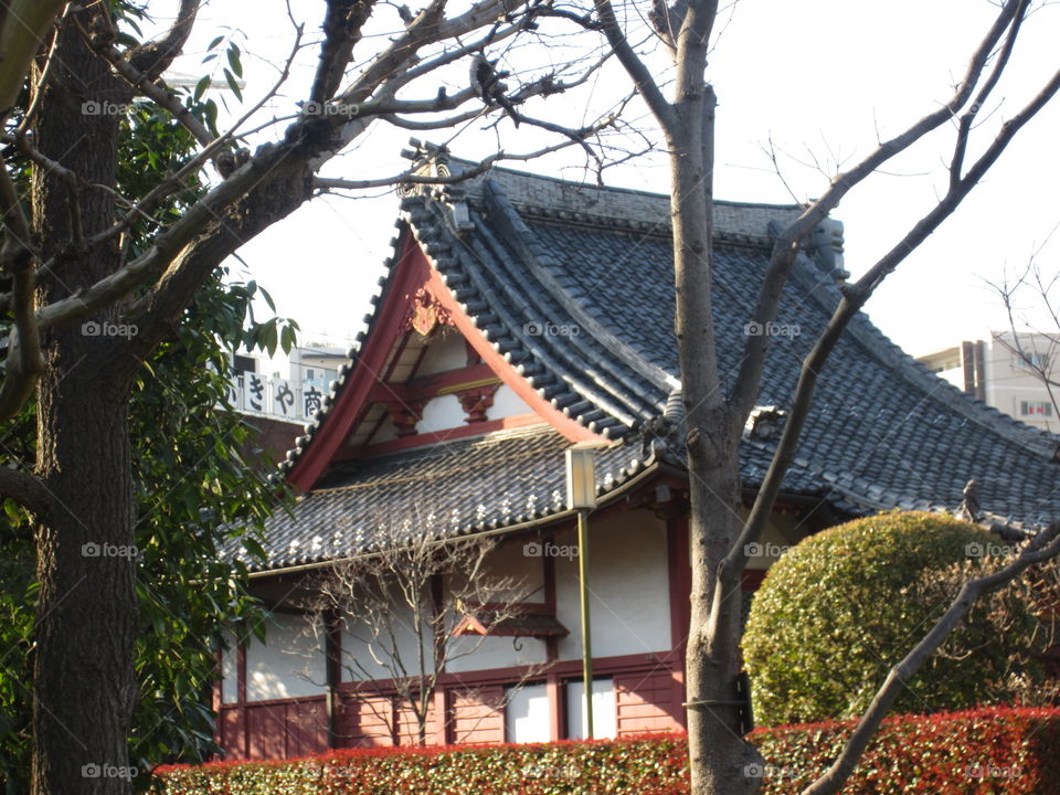 Asakusa Kannon. Sensoji Buddhist Temple and Gardens. Tokyo, Japan. Trees and Traditional Building.