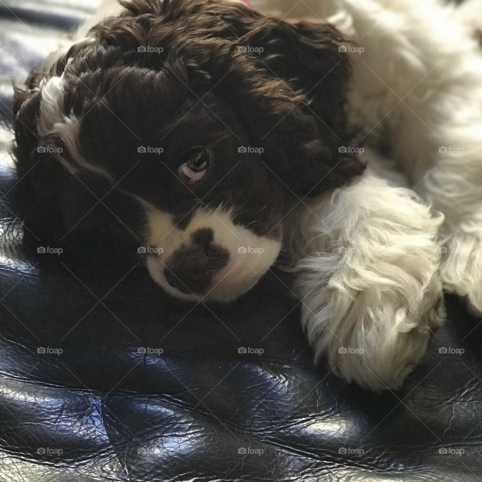 I’m not sharing this couch!