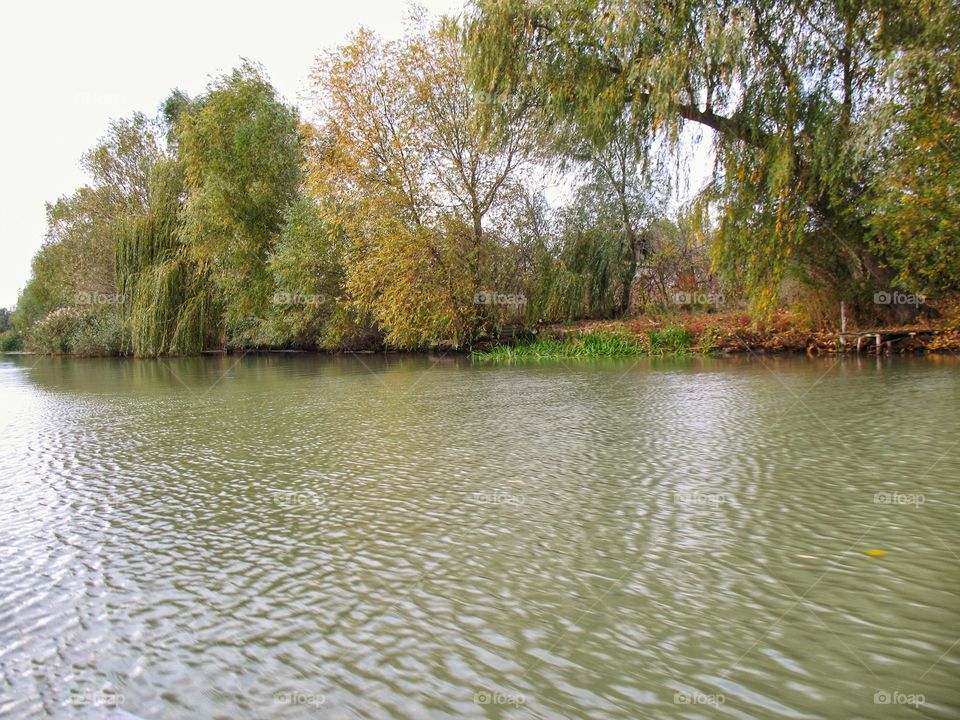 banks of the Danube берега Дуная