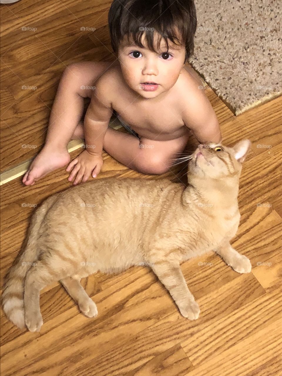 Toddler boy looking at camera and orange cat lovingly looking at toddler. 
