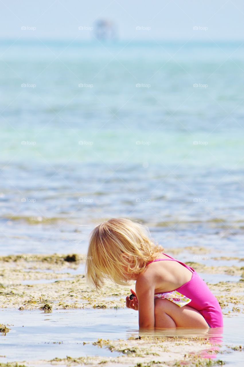 Discovering in the low tide 