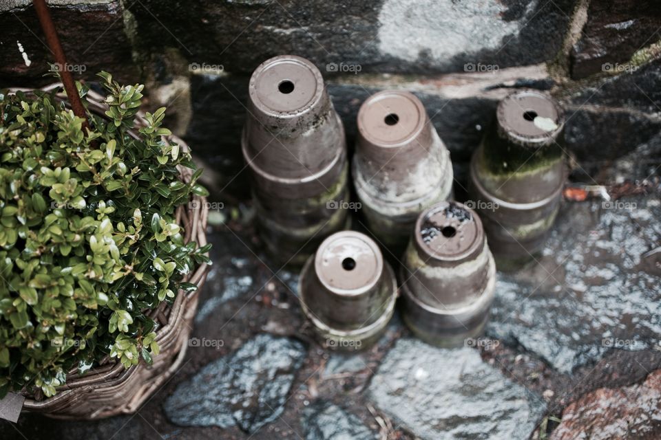 pots in the garden