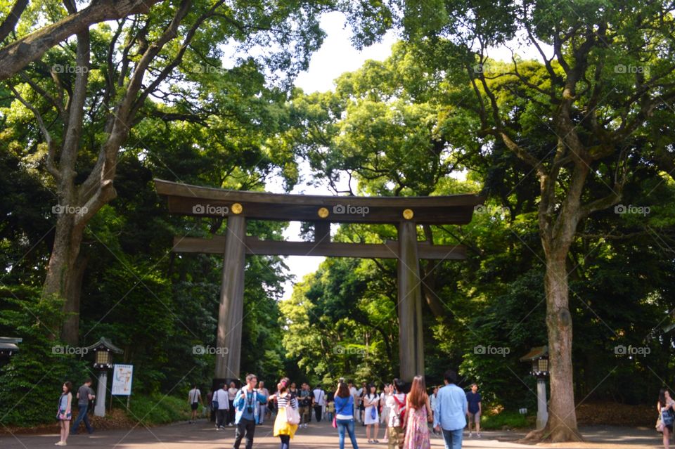 Meiji shrine 