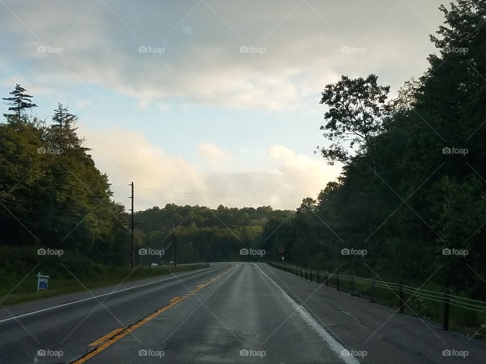 Road, Asphalt, Tree, No Person, Highway