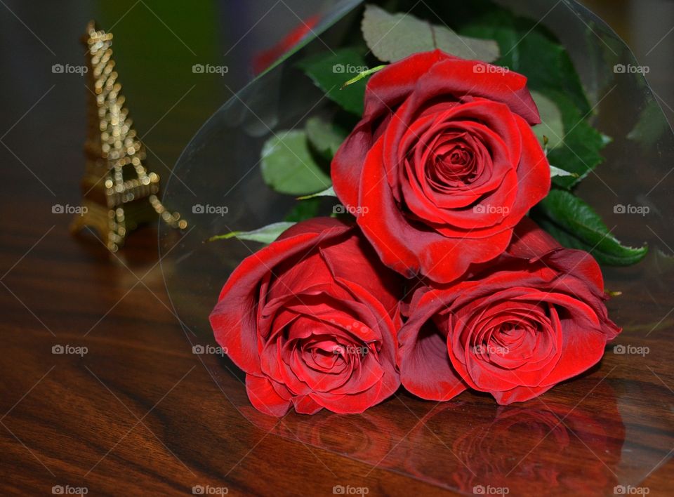 Rose, Love, Romance, Flower, Wedding