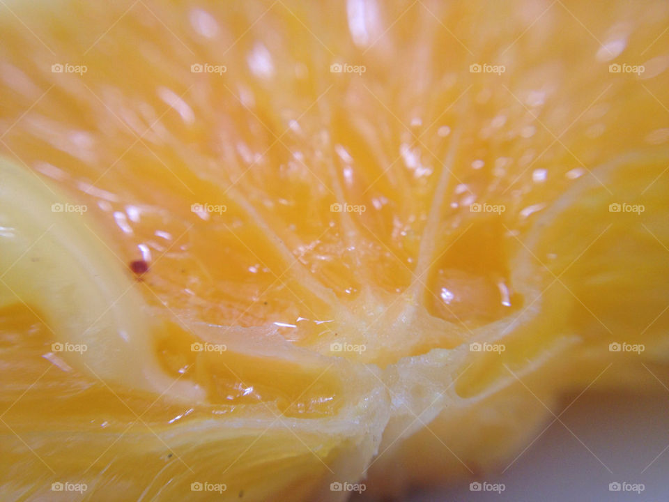 sweden closeup stockholm orange by timeaxe