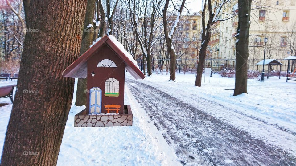 Little house - home for birds in winter