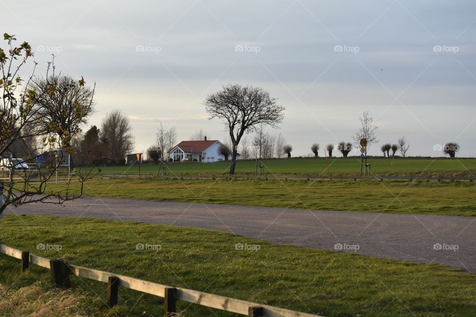 Landscape, Tree, Farm, Grass, No Person
