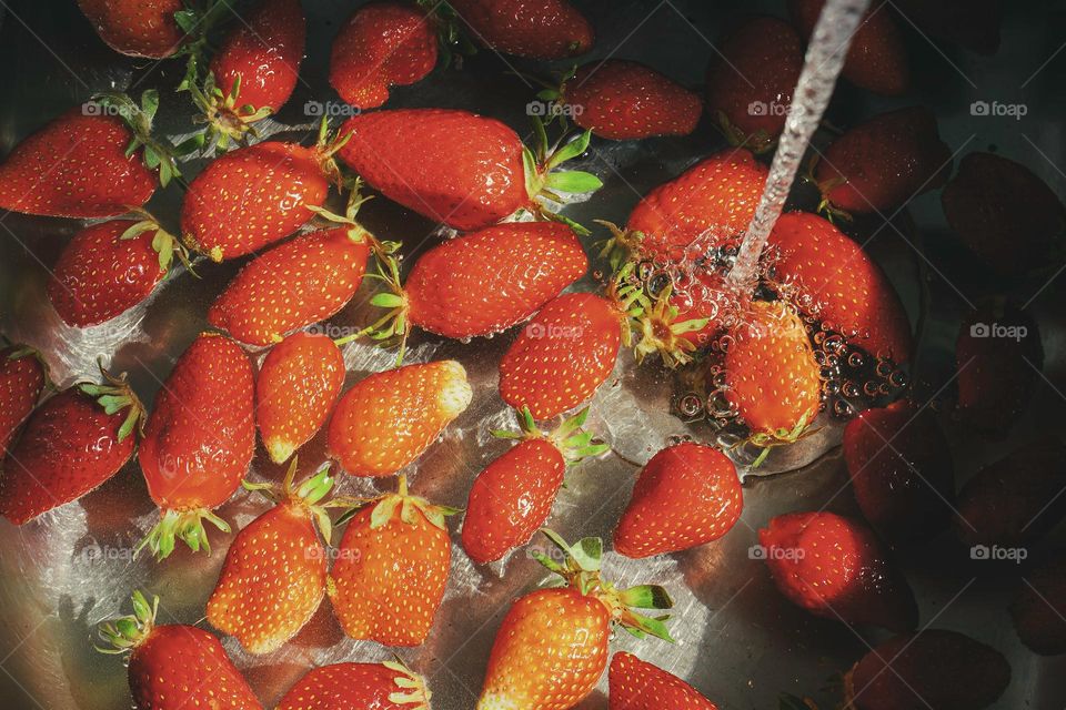 Freshly picked red strawberries being washed in a metal sink