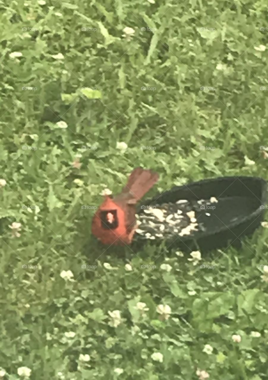 I see you watching me