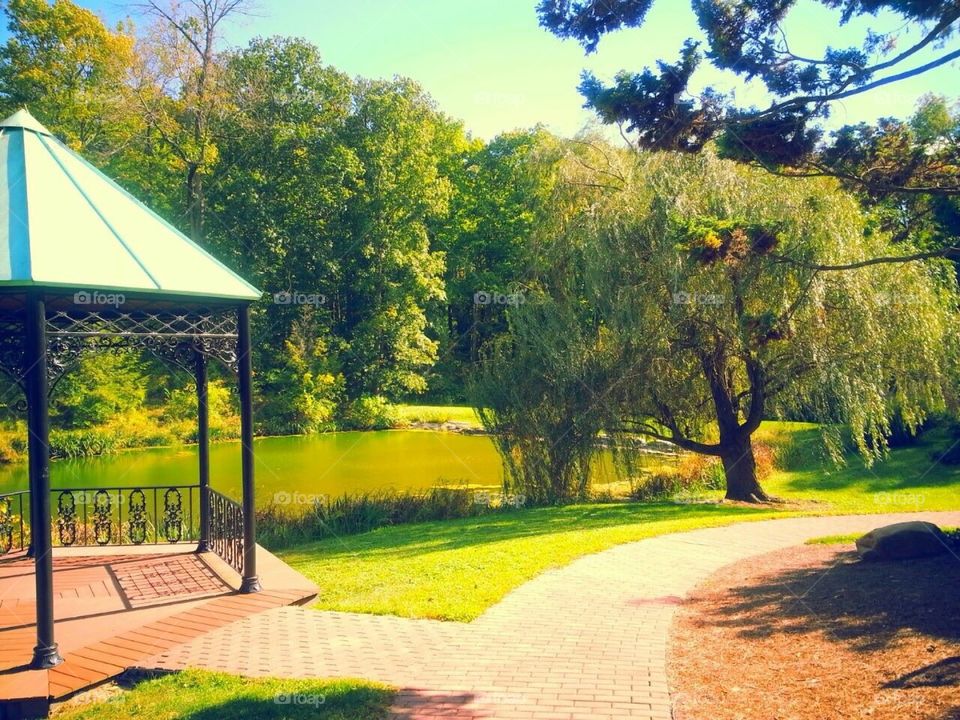 Getting my daily stroll on in this beautiful park