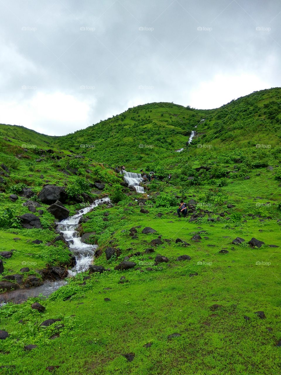 Waterfall between Greenery